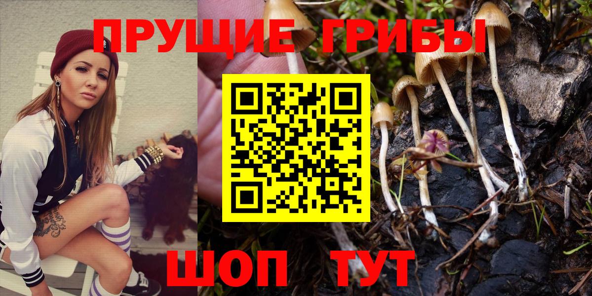 Псилоцибиновые грибы прущие грибы  Вход с VPN  Казань 